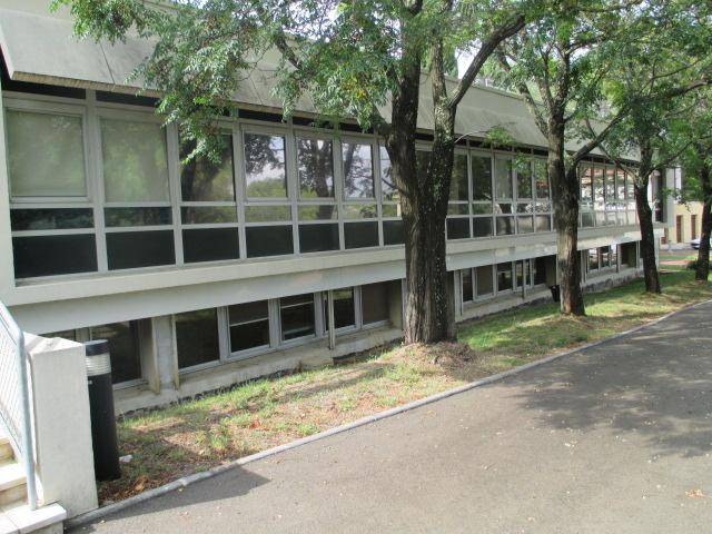 Ravaldec Montpellier