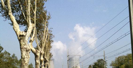 Elagage et abattage - Entreprise Miler à Pouzin en Ardèche