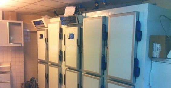 FROID PATISSERIE BOULANGERIE TRAITEUR.