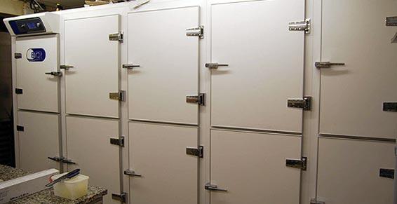 SURGELATEUR CONSERVATEUR BCR