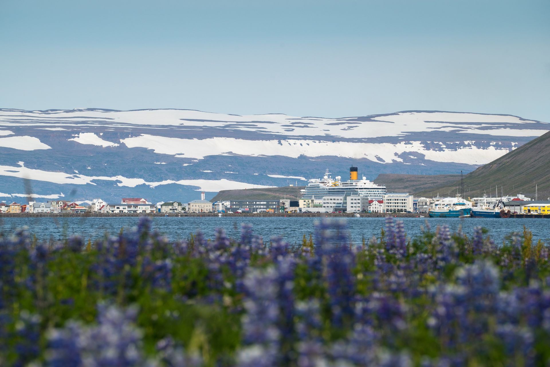 Port Ísafjörður