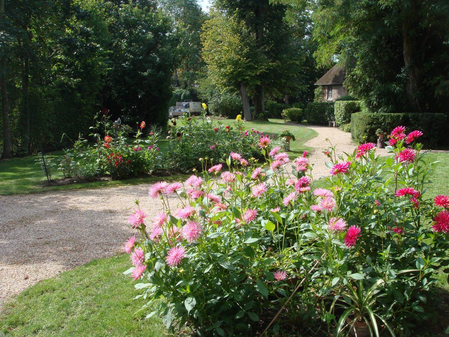 Jardin de fleurs de couleurs roses variées