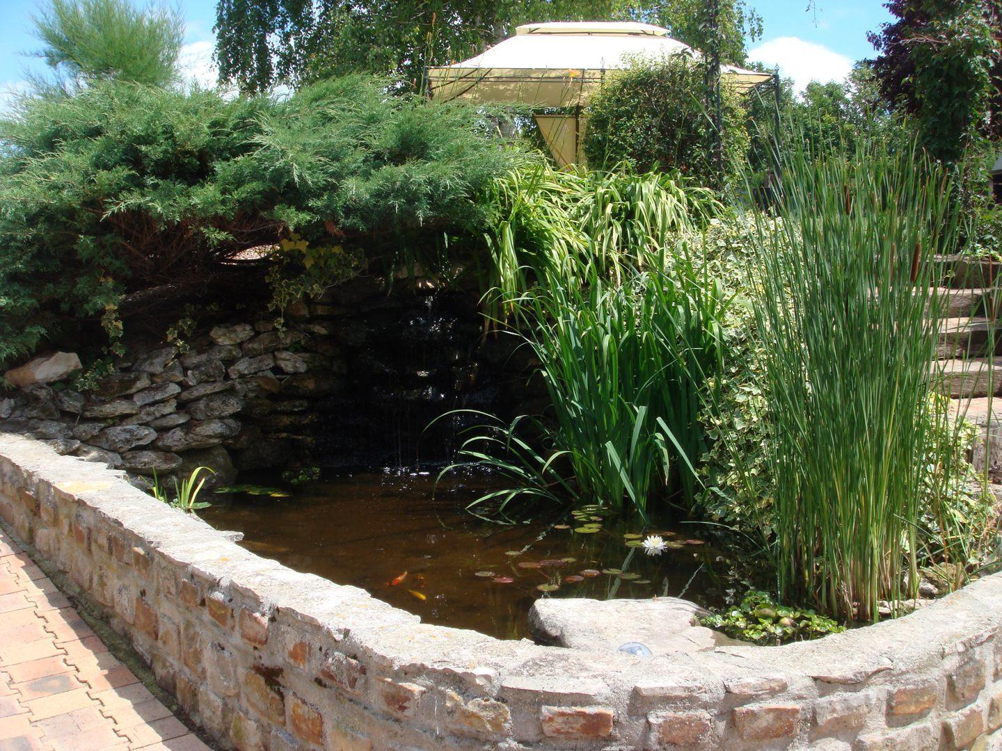 Bassin avec poissons et muret