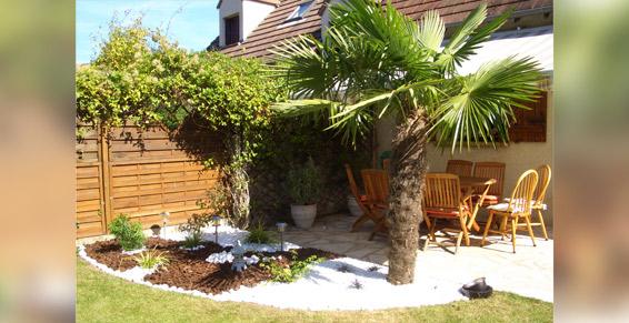 Jardin avec palmiers et massif