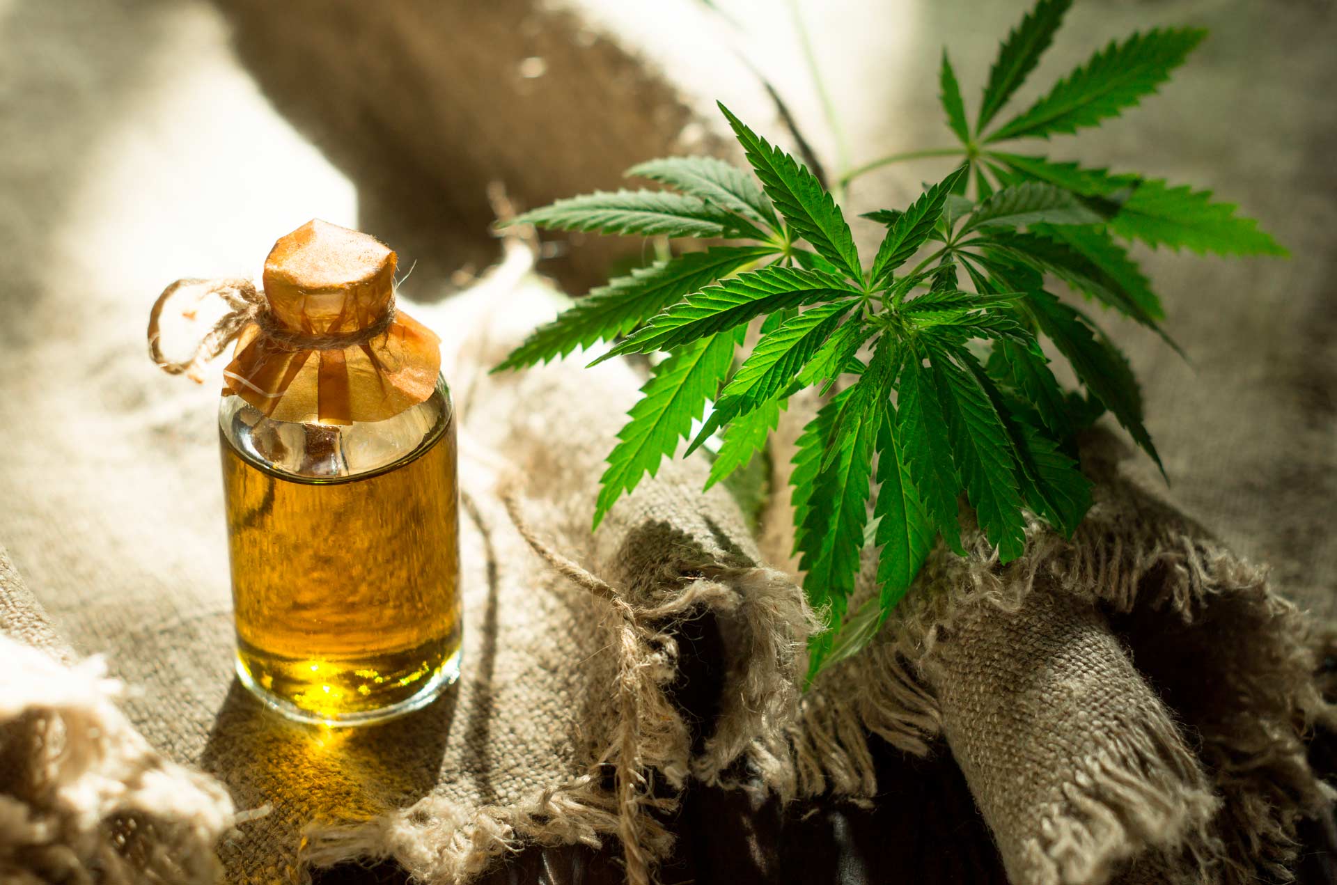 VChanvre page banner