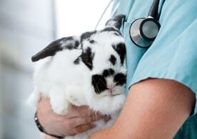 Ποιοι είμαστε