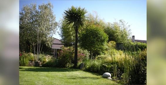 Entretien de jardin - Passion Jardin à Muret