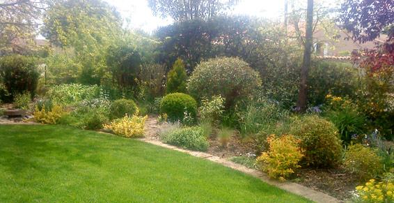 Passion Jardin à Seysses - Pelouse en plaques