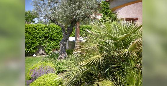 Passion Jardin à Seysses, Fonsorbes, Toulouse, Muret, Jardins et parcs