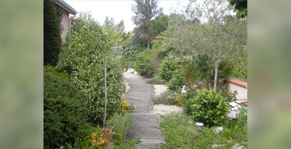 Passion Jardin à Toulouse - Conseils personnalisés - Paysagiste