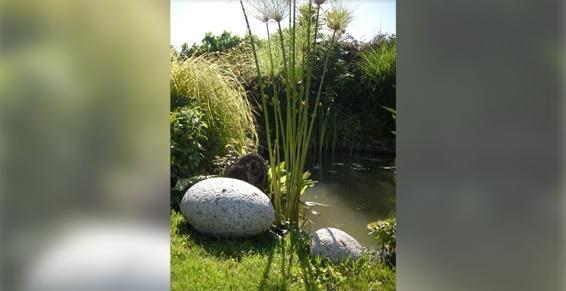 Bassin de jardin - Passion Jardin - Réalisation de jardin