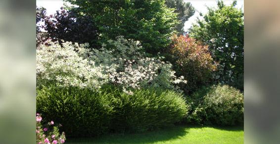 Passion Jardin à Seysses - Création de jardin