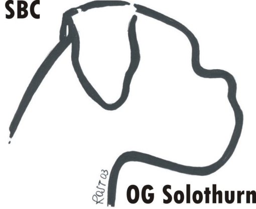 SBC OG Solothurn