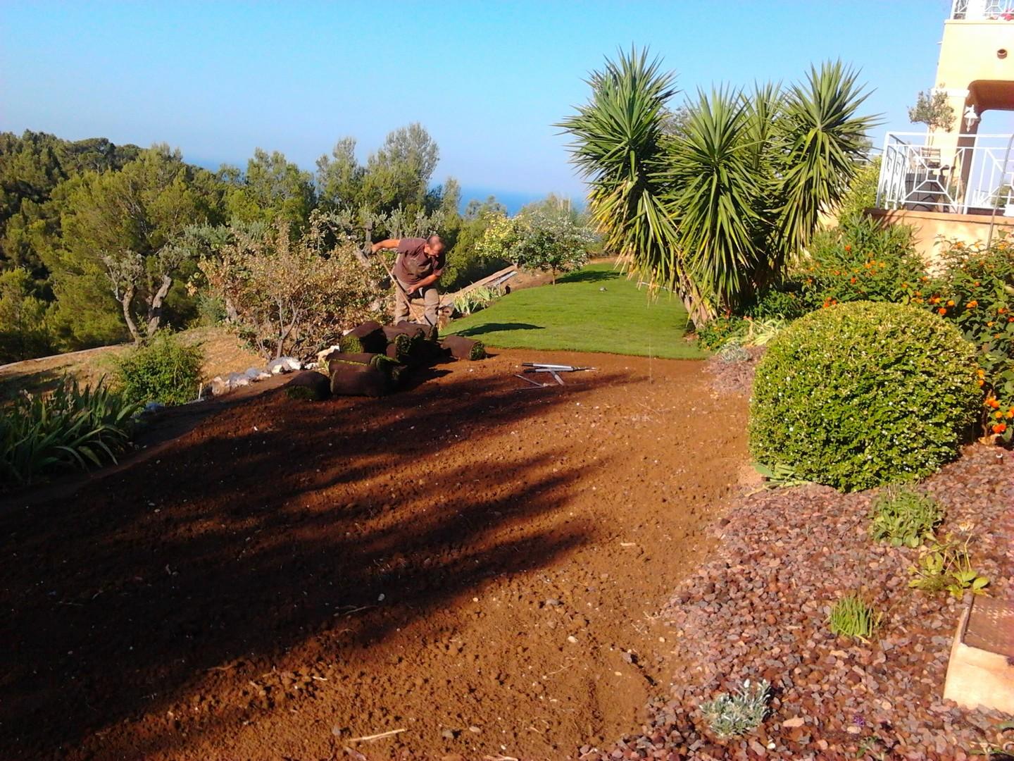 Préparation du sol ph3