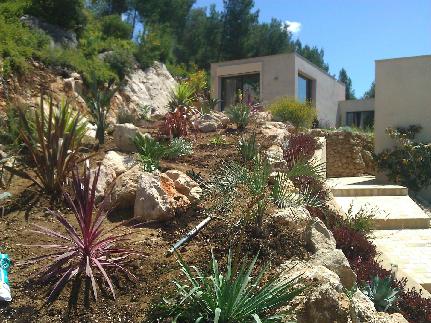 Plantation d'un jardin tropical sec