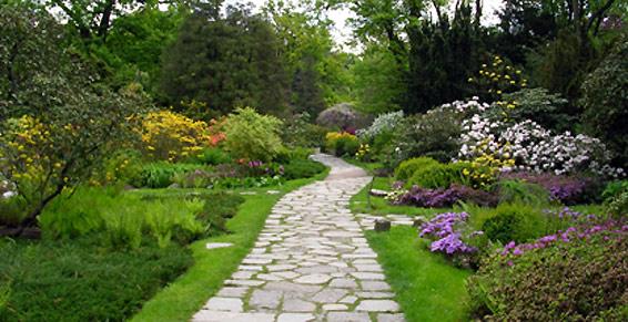 Azur Provence Paysage - Entretien de parcs à Ollioules dans le Var
