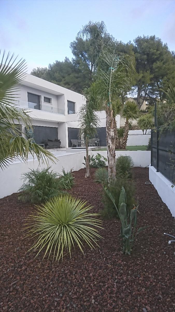 jardin moderne32 plante tropicale sur pouzzolane Bandol