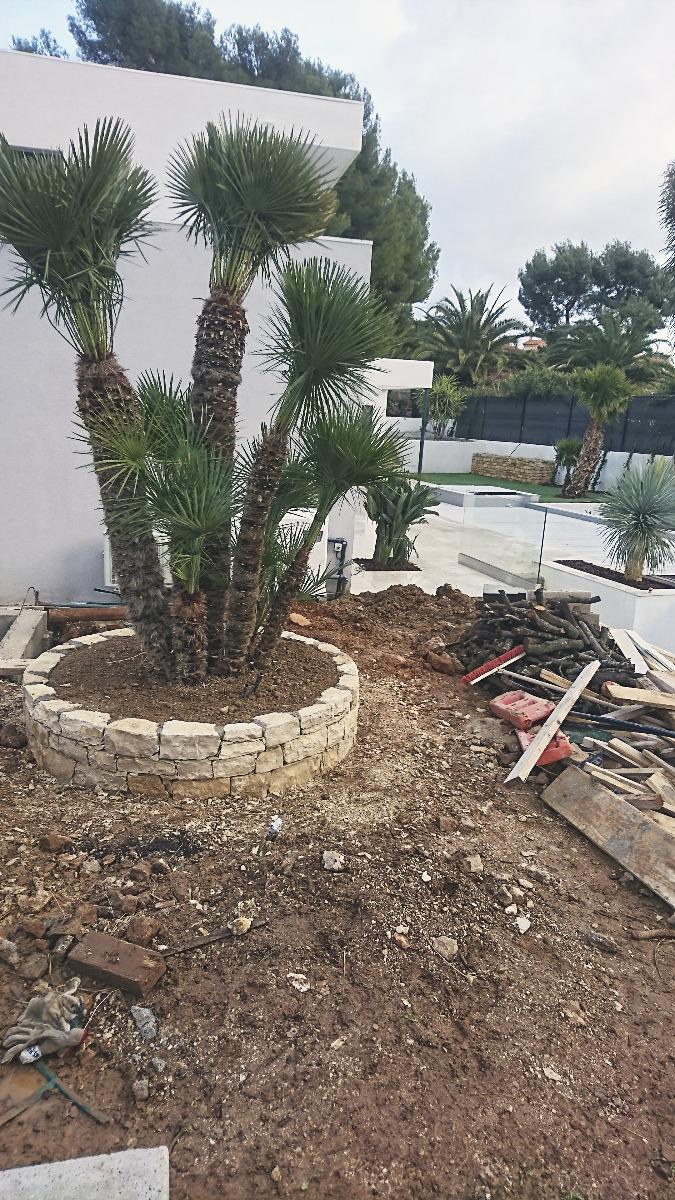 Mur en pierre autour d'un sujet Bandol