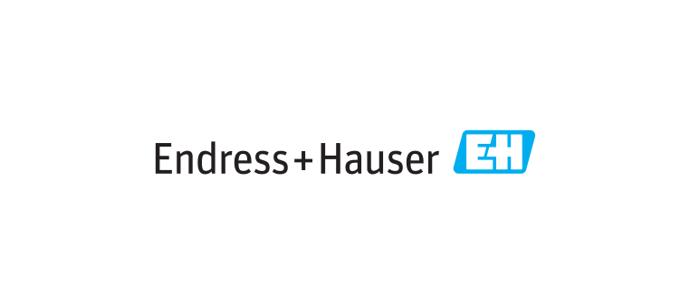 Endress + Hauser Logo: Text und blaues EH-Symbol.