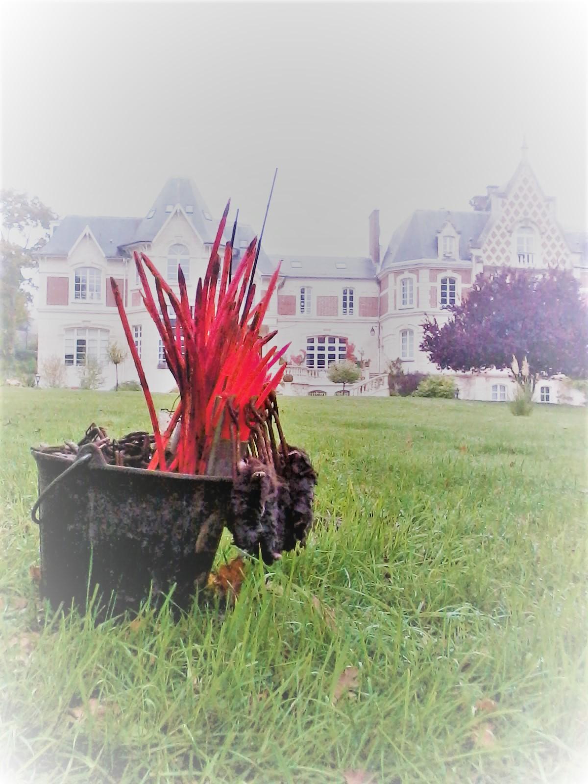 Piège traditionnel pour taupes