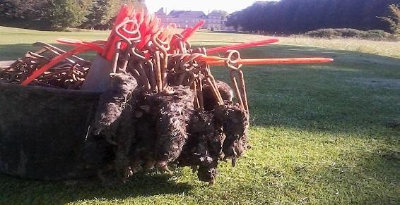 Piège traditionnel pour élimination de taupes