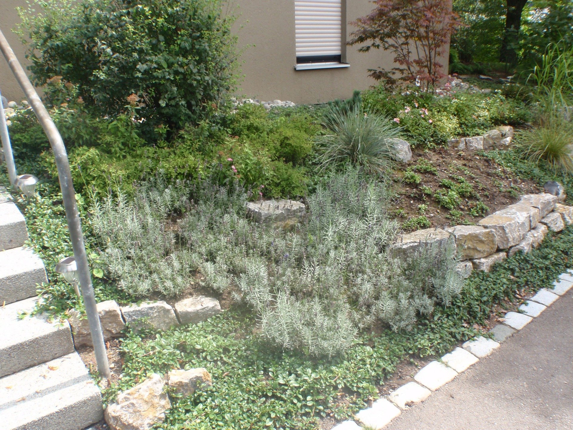 Pflanzenarbeiten Gerlingen Garten und Landschaftsbau Reinhard Oehl