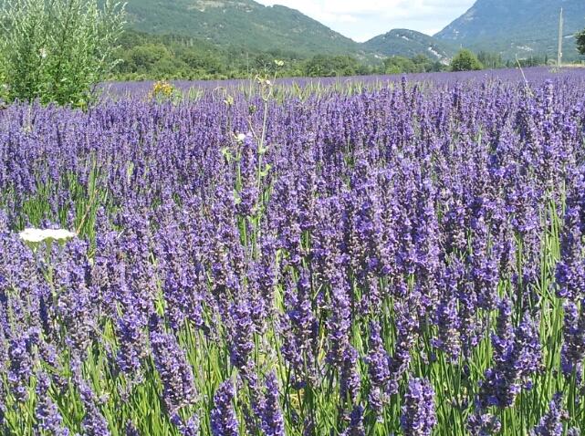 Adhémar Ambulance et Taxi Montélimar