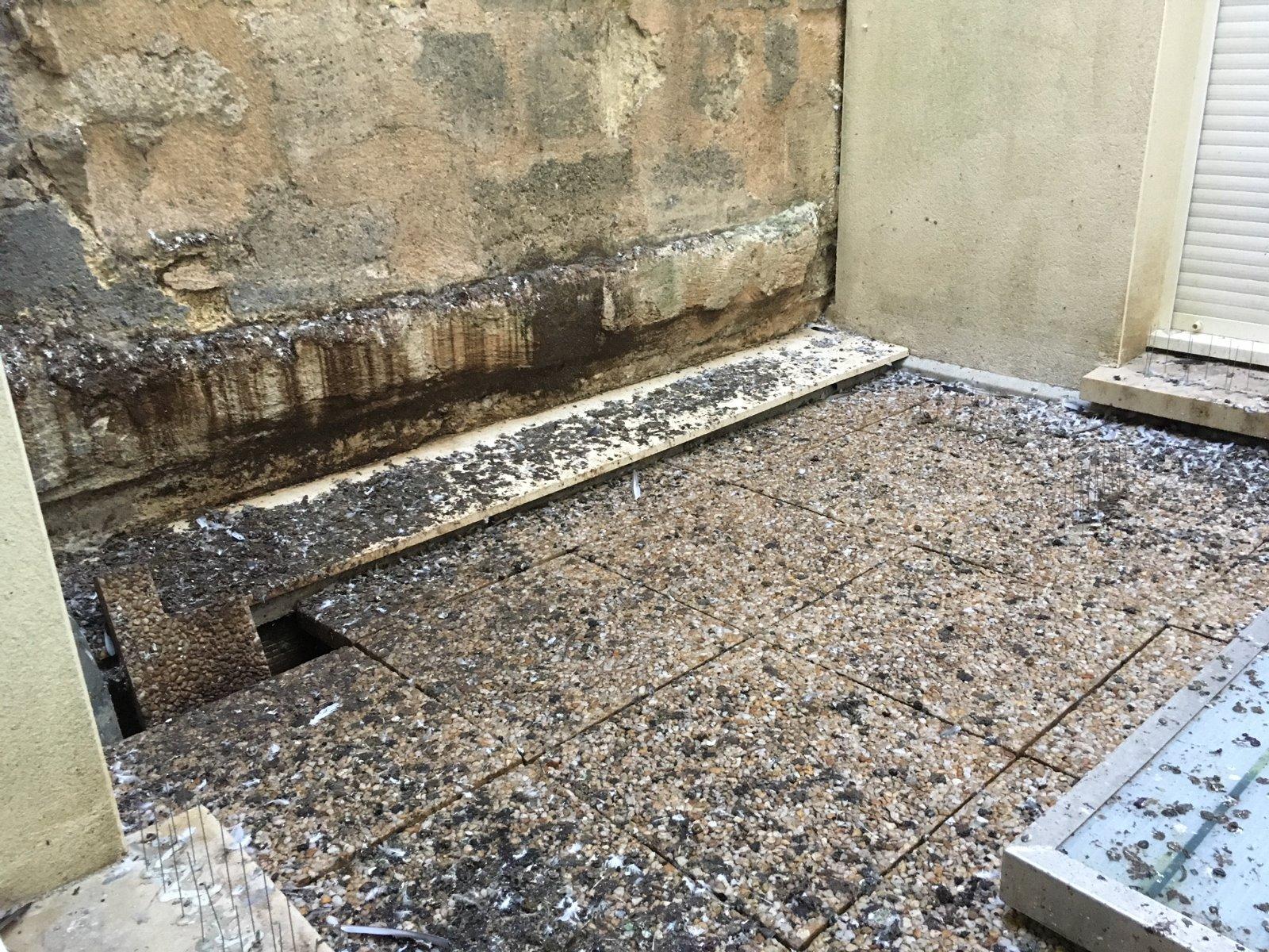 Dégats pigeons cour intérieur avant