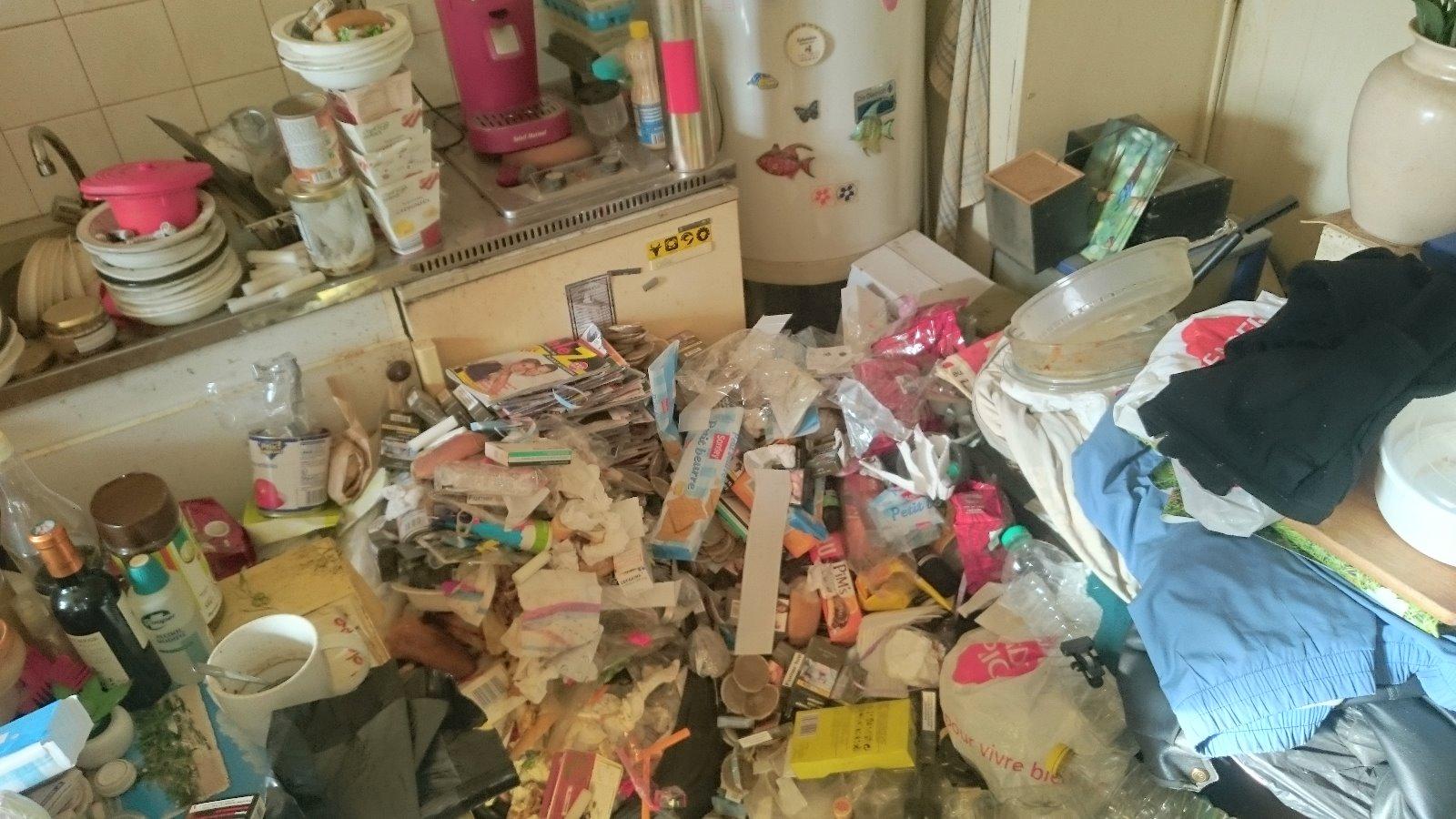 Dégats pigeons cour intérieur avant