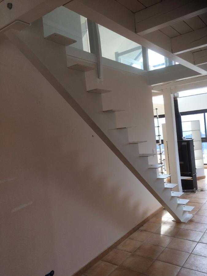 Escallier acier limon central