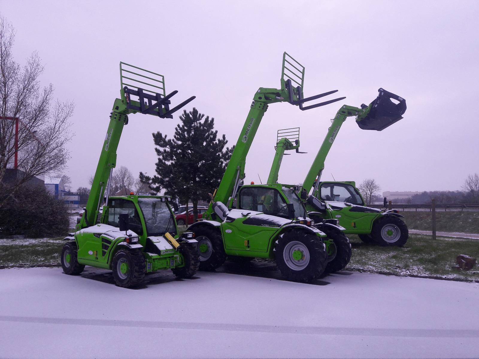Merlo sous la neige