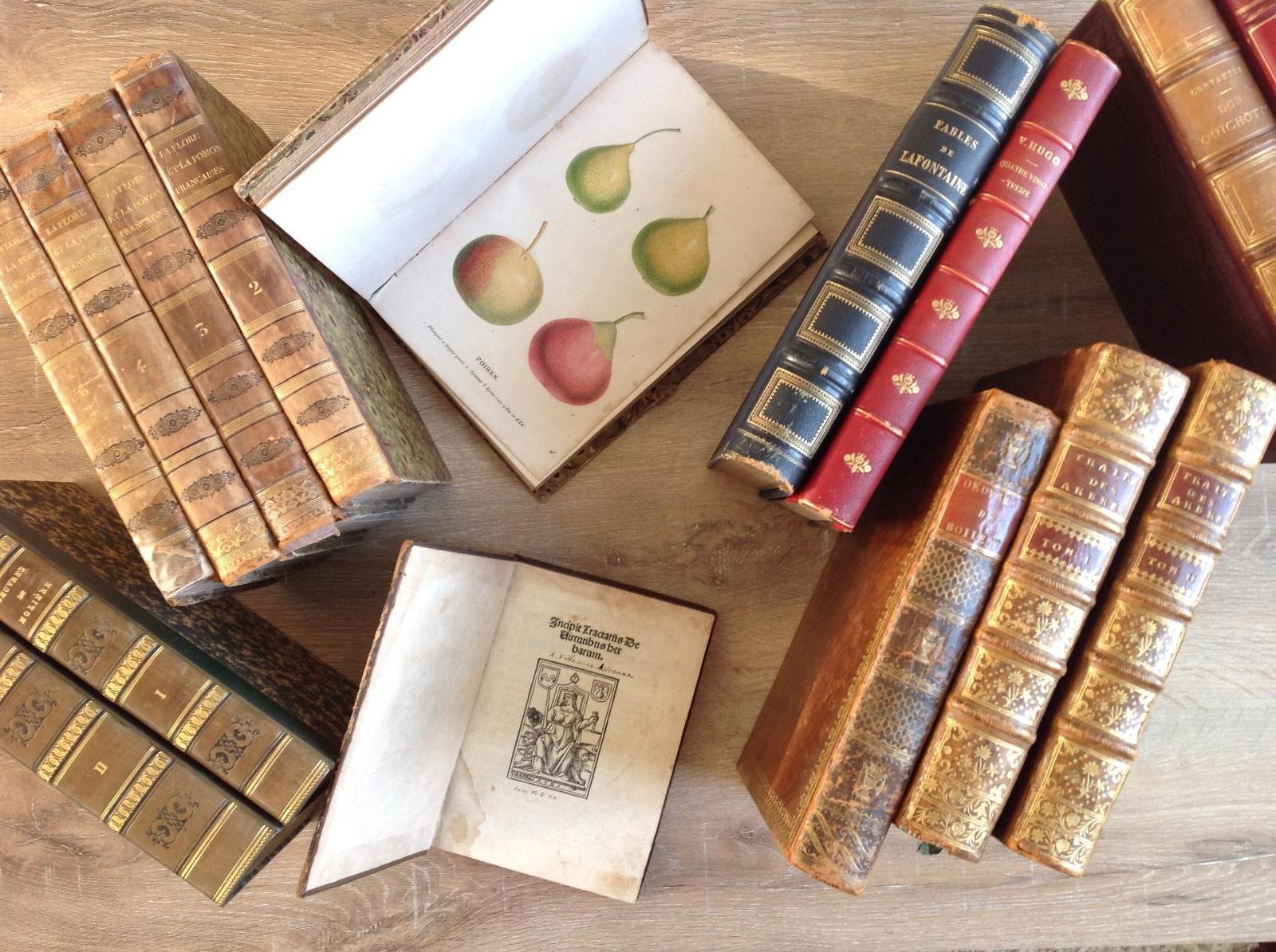 Livres Anciens XVIIe ,XVIIIe siècle