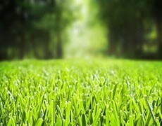 Υλικά Κήπων