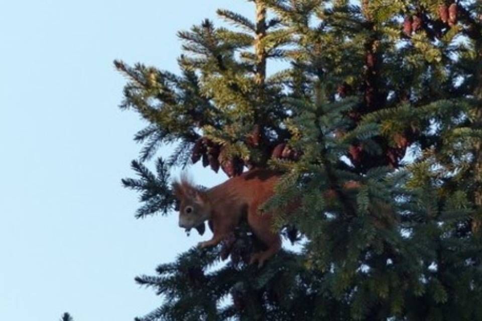 Zahnärztin | Regensburg | Dr. med. dent. Petra Lehmann-Wittkop