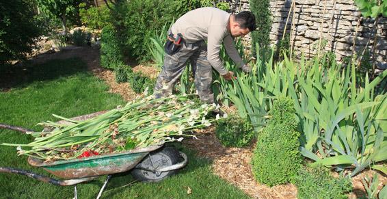 paysagistes (entrepreneurs) - entretien des parterres de fleurs