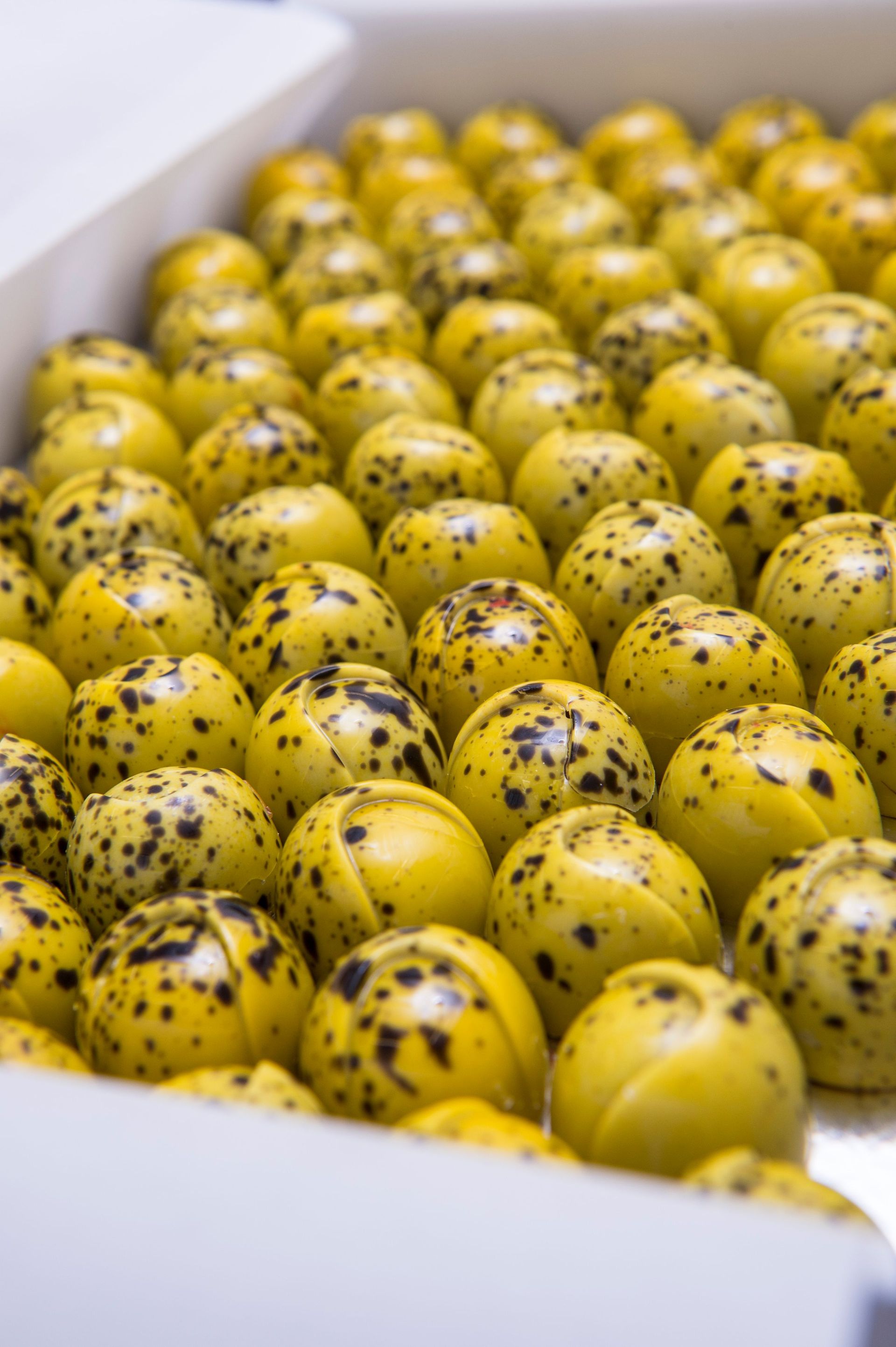 La Chocolaterie De Gen ve Chocolates And Chocolate Maker la-chocolaterie-de-gen-ve-chocolates-and-chocolate-maker