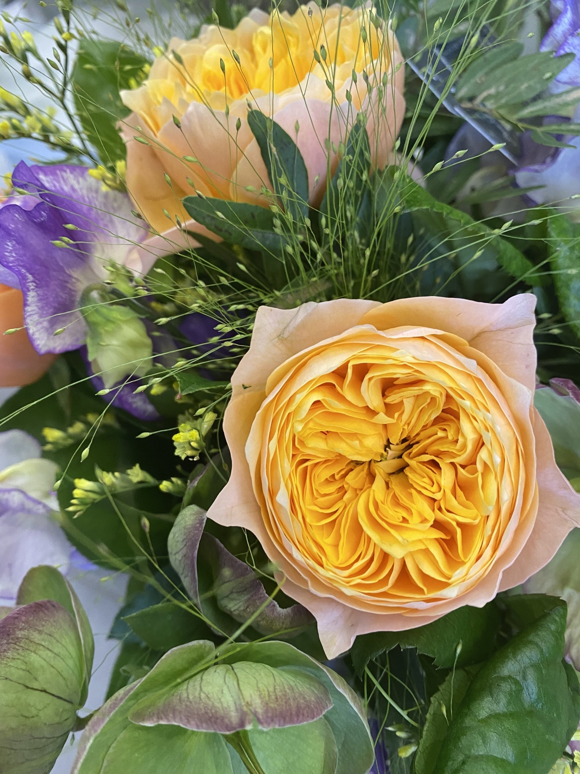 Aux Roses de Fontenay vous accueille à Fontenay-aux-Roses