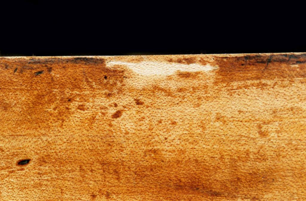 Laurent Vallé à Lyon