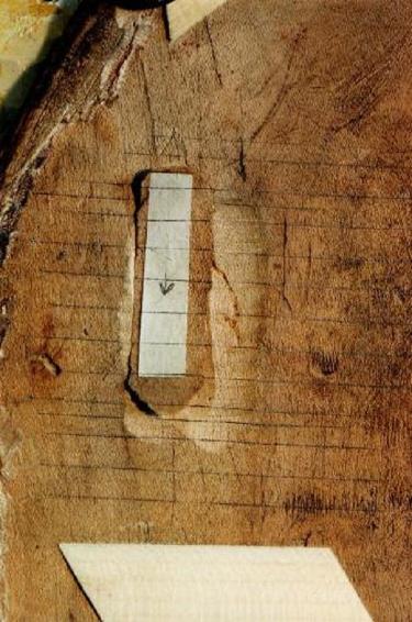 Location et vente de violoncelles à Lyon