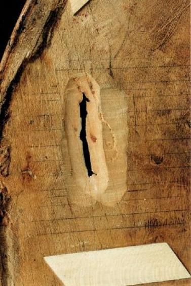 Location et vente de violons à Lyon