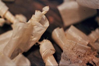 Entretien de violoncelles à Lyon