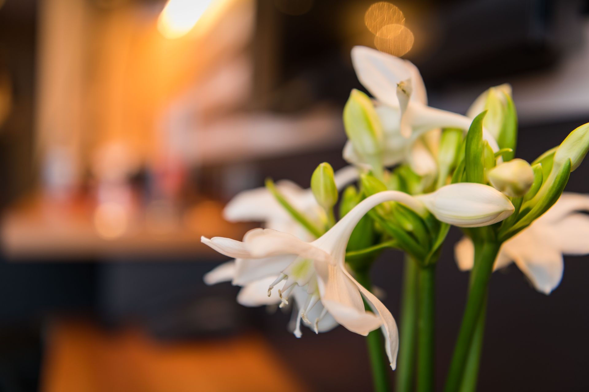 A close up of a bunch of white flowers in a vase.