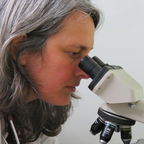 צוות המרפאה