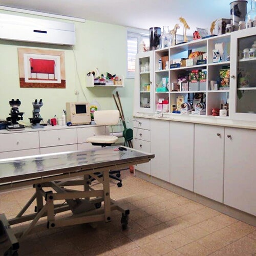 שאלות נפוצות