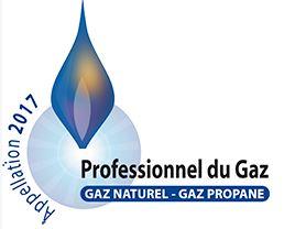 Professionnel gaz