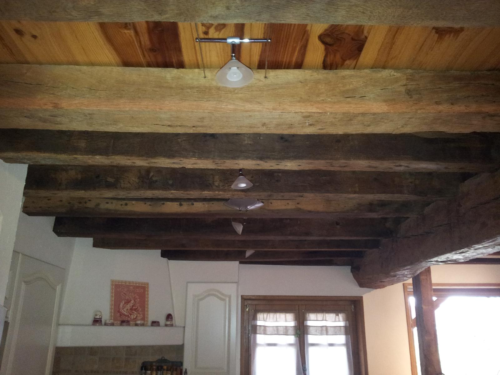 Eclairage cable tendu1214_111737.jpg