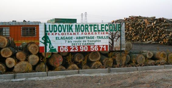 Mortelecque Ludovik - élagage et abattage