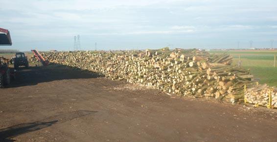 bois de chauffage - bois de chauffage