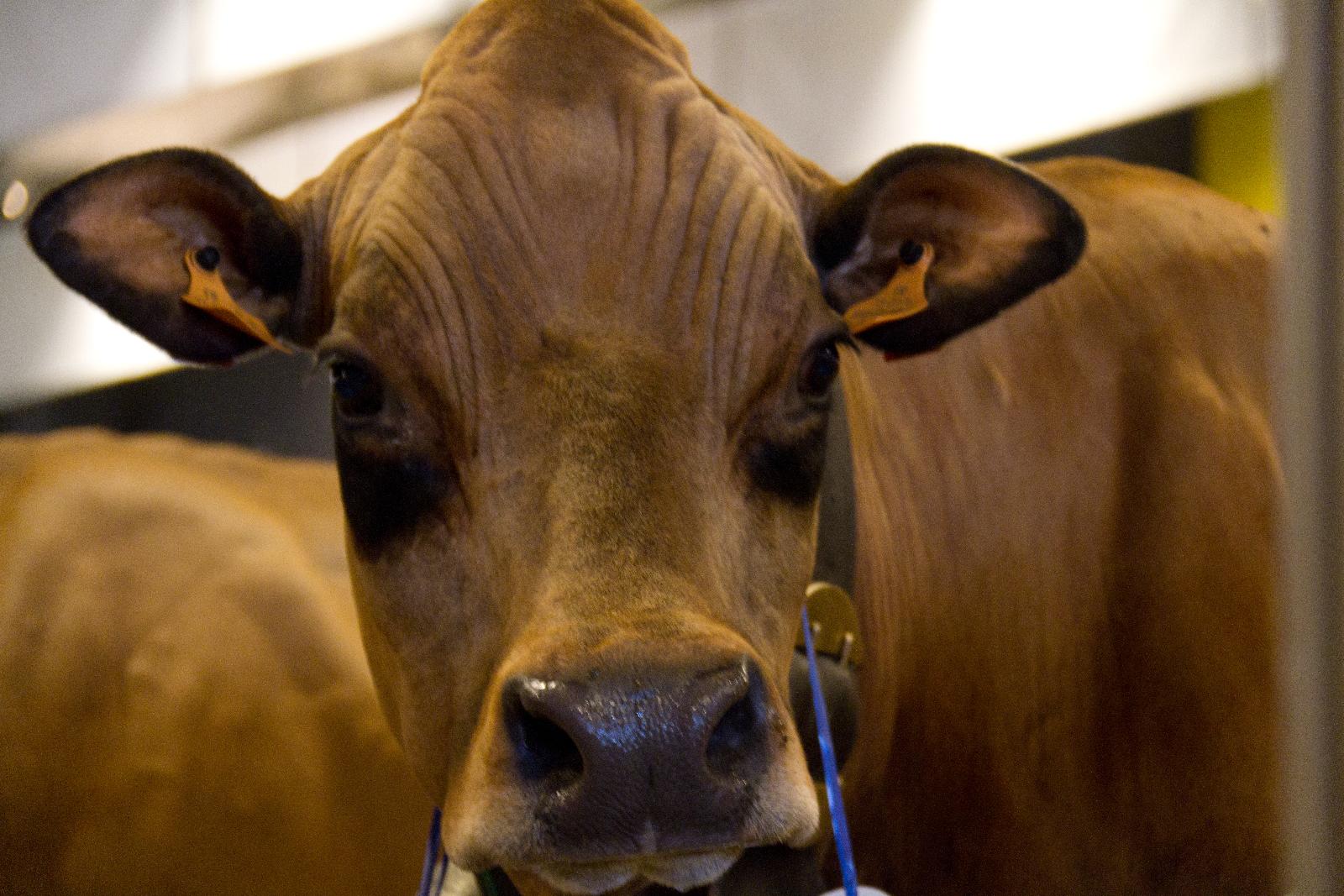 Avec Transports Guével  en toute sécuriité