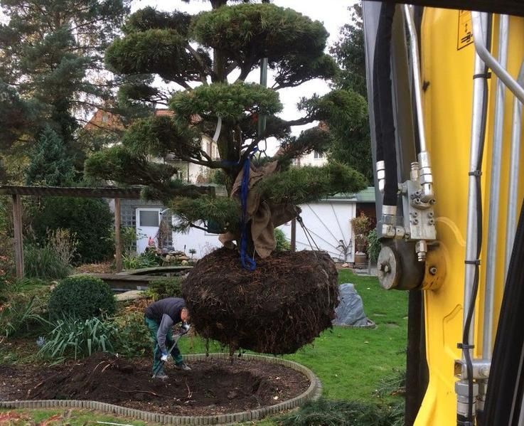 51+ Gartenbaumschule Und Landschaftsbau Kreiser, Ein sicherer weg zu